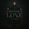 Disposable Love album lyrics, reviews, download