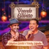 Voando Feito um Gavião by Gleydson Gavião iTunes Track 1