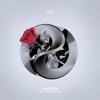 Millbrook - You & Me (feat. Selin)