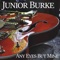 Any Eyes but Mine - Junior Burke lyrics