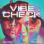 VIBE CHECK artwork