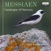 Catalogue d'oiseaux: I. Le chocard des alpes artwork
