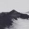 The Fig Tree - Jakob Ahlbom lyrics