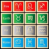 12 Signs of the Zodiac artwork