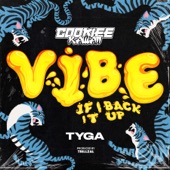Tyga;Cookiee Kawaii - Vibe (If I Back It Up) (TrillzAL Remix)