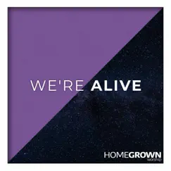 We're Alive - Single by Homegrown Worship album reviews, ratings, credits