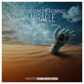 Miracle artwork