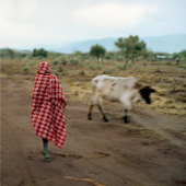 In East Africa - EP - Stalawa