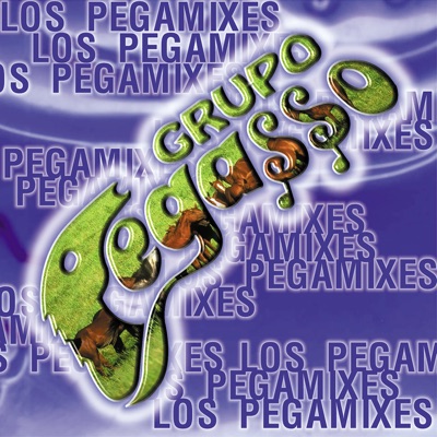 Grupo Pegasso.
