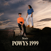 Stats - Powys 1999 artwork