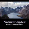 Naturen lyder: Avslappingstid, musikk for meditasjon og kontemplasjon, spa og velvære album lyrics, reviews, download
