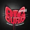 BIG PURR (Prrdd) [feat. Pooh Shiesty] song lyrics