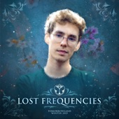 Tomorrowland Winter 2019: Lost Frequencies (DJ Mix) artwork