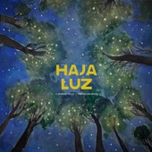 Haja Luz artwork