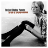 The Age of the Understatement - The Last Shadow Puppets