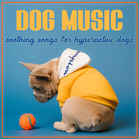 soothing songs for dogs