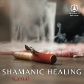 Shamanic Healing artwork