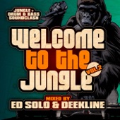 Welcome to the Jungle, Vol. 2: The Ultimate Jungle Cakes Drum & Bass Compilation (DJ MIX) artwork