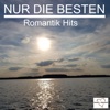 Nur die Besten - Romantik Hits, 2017