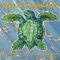 Kalimba Chant - Spurious Transients lyrics