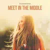 Meet in the Middle (feat. Haley) - EP album lyrics, reviews, download