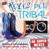 DJ Antrax - Soy Alegre