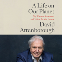 Sir David Attenborough - A Life on Our Planet artwork