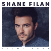 Shane Filan - Your Love Carries Me Lyrics