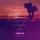 Till Sunrise (Remix) [feat. Mammals] artwork