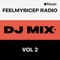 FeelMyBicep Radio, Vol. 2 (DJ Mix)