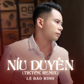 Níu Duyên (TikTok Remix) artwork