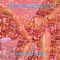 Acid Angels - Miss Represented lyrics