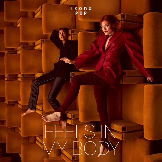 Cover artwork for Feels in My Body