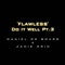 'flawless' Do It Well, Pt. 3 (feat. Jaime Arin) - Daniel De Bourg lyrics