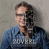 Deel Zoveel artwork