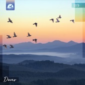 Doves artwork