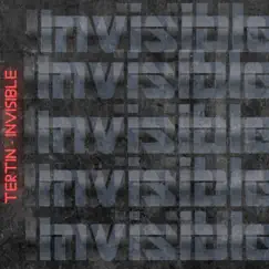 Invisible - Single by Tertin album reviews, ratings, credits
