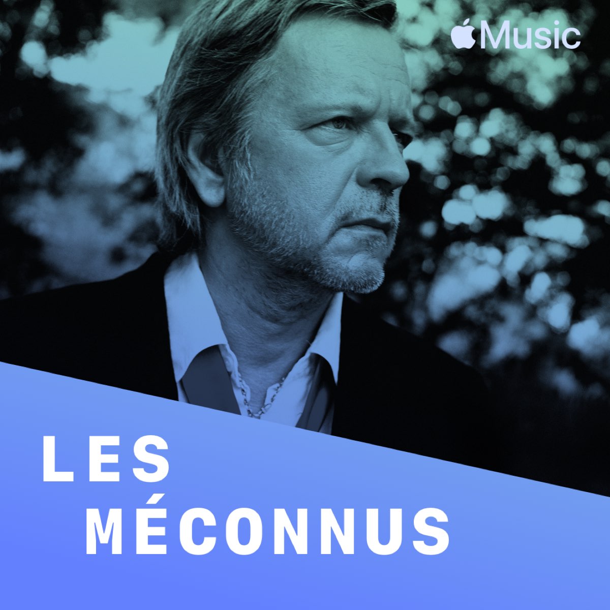 Renaud Les Meconnus Sur Apple Music