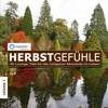 Napster Pres. Herbstgefühle 4 - 30 Lounge Titel Für Die Ruhigeren Momente Im Leben