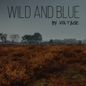 Wild and Blue - Voltage