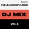 FeelMyBicep Radio, Vol. 4 (DJ Mix)