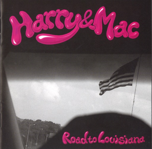 細野晴臣が日本の音楽シーンに与えた影響 ⑩ アンビエントへの傾倒を