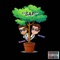 Sap (feat. YBB Prodigy) - YBB Amster lyrics