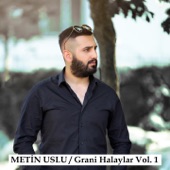 Kürtçe Halay (feat. Derikli Mahsun) artwork