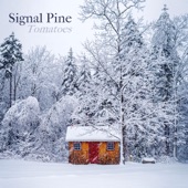 Signal Pine - Come Around