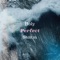 Holy Perfect Storm (Inst.) artwork