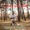 I Love You - - kamal k. chhetri -- asian music -- HD