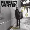 Perfect Winter - Single album lyrics, reviews, download