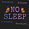 No Sleep (K'ciana, Jr Scheming & Brooklyn Fluellen) - Single album lyrics, reviews, download