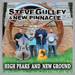Steve Gulley & New Pinnacle - Leaving Crazy Town